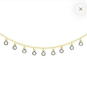 Freida Rothman Gold and Black Bezel Necklace